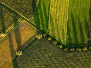 dlaczego warto stawiać na sprawdzonych producentów sprzętu rolniczego?