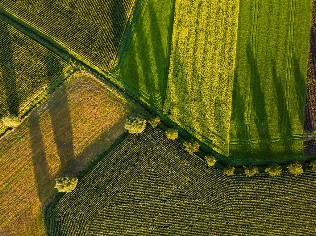 dlaczego warto stawiać na sprawdzonych producentów sprzętu rolniczego?